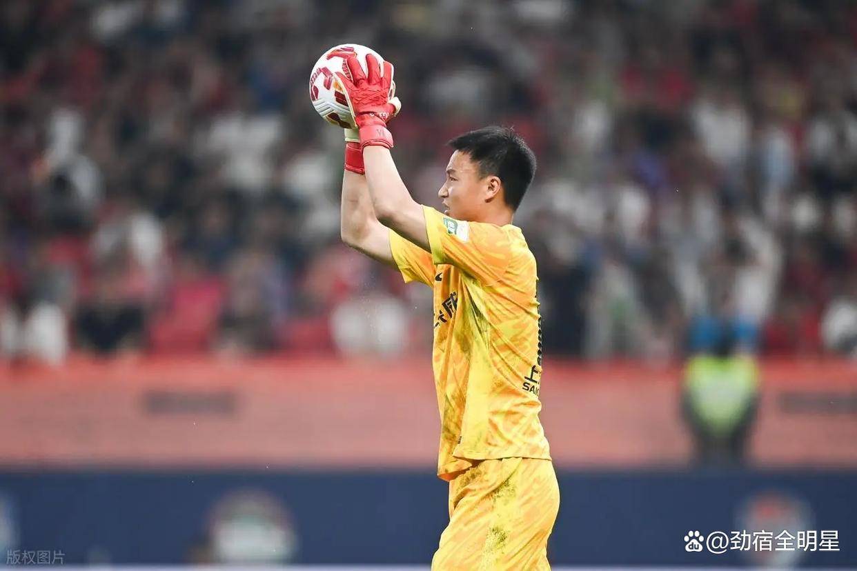 虎扑-上海申花国际比赛日刷新队史纪录，志在全明星赛名次提升，压力陡增，细节决定成败的简单介绍