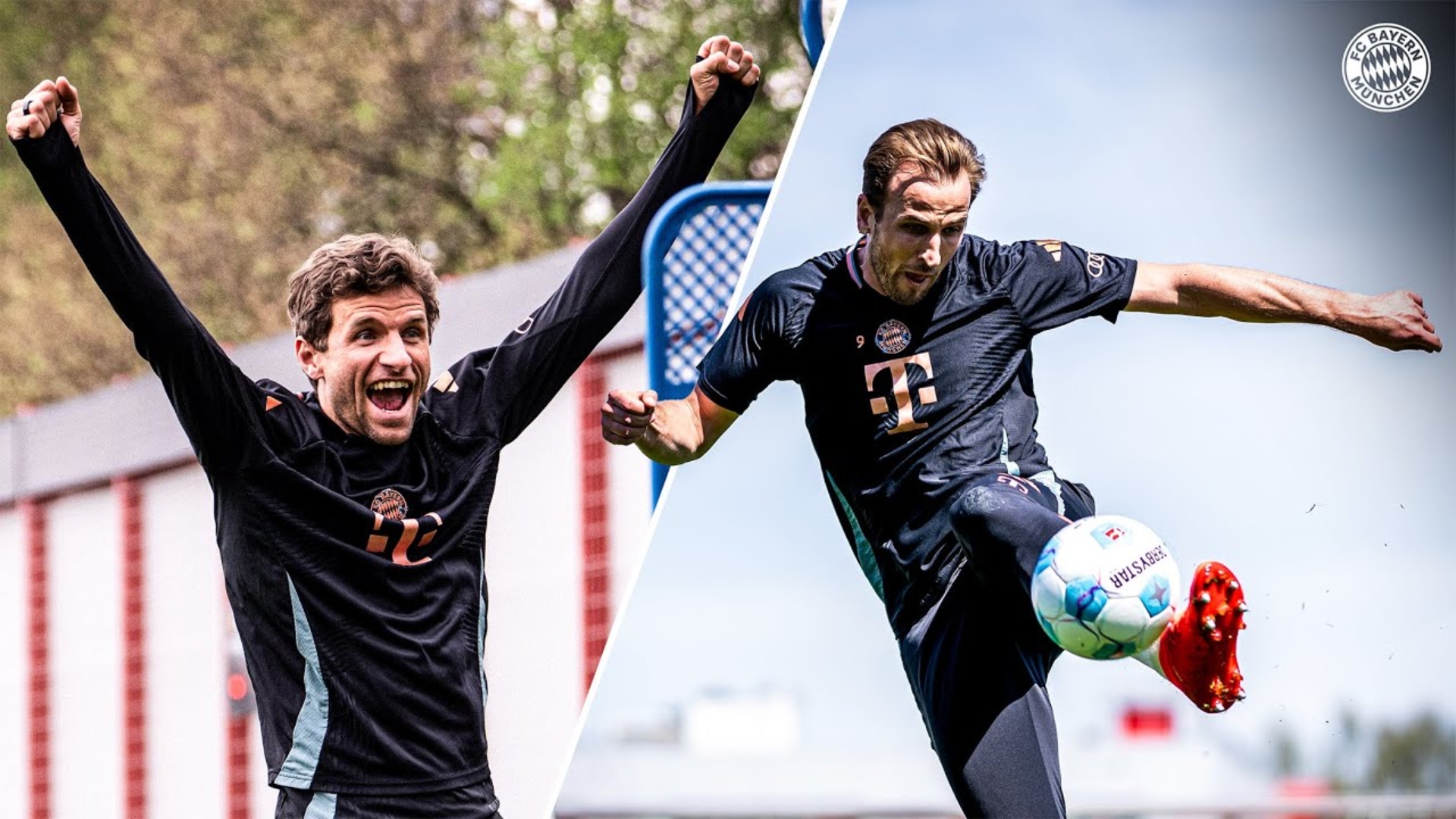 虎扑体育-凯恩迎来十二赛季高光表现，曼联球迷沸腾！的简单介绍